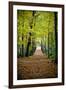 Berkshires Near Appalachian Trail-null-Framed Photo