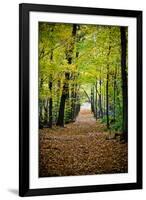 Berkshires Near Appalachian Trail-null-Framed Photo