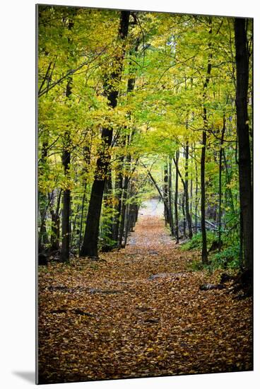 Berkshires Near Appalachian Trail-null-Mounted Photo