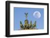 Berlin, Germany. Close-up of the Quadriga atop the Brandenburg gate with the full moon.-Miva Stock-Framed Photographic Print