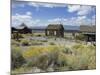 Berlin Ghost Town, Berlin-Ichthyosaur State Park, Nevada, USA-null-Mounted Photographic Print
