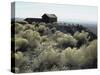 Berlin Ghost Town, Nevada, USA-null-Stretched Canvas