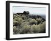 Berlin Ghost Town, Nevada, USA-null-Framed Photographic Print