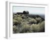 Berlin Ghost Town, Nevada, USA-null-Framed Photographic Print