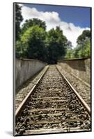 Berlin-Grunewald, Germany. Train Platform 17, Holocaust Memorial where 50,000 Jews were deported to-Miva Stock-Mounted Photographic Print