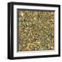 Berlin Map-Jazzberry Blue-Framed Art Print