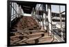 Berlin-Marzahn, City Railroad Station, Stairs-Catharina Lux-Framed Photographic Print