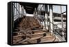 Berlin-Marzahn, City Railroad Station, Stairs-Catharina Lux-Framed Stretched Canvas