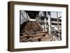 Berlin-Marzahn, City Railroad Station, Stairs-Catharina Lux-Framed Photographic Print