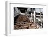 Berlin-Marzahn, City Railroad Station, Stairs-Catharina Lux-Framed Photographic Print