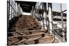 Berlin-Marzahn, City Railroad Station, Stairs-Catharina Lux-Stretched Canvas