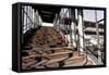 Berlin-Marzahn, City Railroad Station, Stairs-Catharina Lux-Framed Stretched Canvas