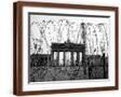 Brown Frame