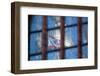Berlin, St. Nicholas' Church, Reflection Television Tower and Berlin Flag-Catharina Lux-Framed Photographic Print