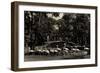 Berlin Tiergarten, Im Tierpark, Flamingos, Lenne Tempel-null-Framed Giclee Print