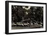 Berlin Tiergarten, Im Tierpark, Flamingos, Lenne Tempel-null-Framed Giclee Print