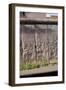 Berlin Wall. Germany-null-Framed Premium Giclee Print