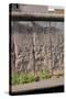 Berlin Wall. Germany-null-Stretched Canvas