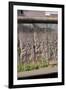 Berlin Wall. Germany-null-Framed Giclee Print