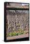 Berlin Wall. Germany-null-Framed Stretched Canvas