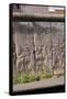 Berlin Wall. Germany-null-Framed Stretched Canvas