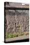 Berlin Wall. Germany-null-Stretched Canvas