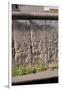 Berlin Wall. Germany-null-Framed Giclee Print