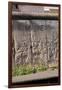 Berlin Wall. Germany-null-Framed Giclee Print