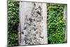 Berlin Wall Memorial-Jule_Berlin-Mounted Photographic Print