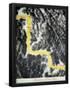 Essential Black