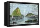 Canvas Black