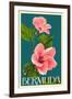 Bermuda - Pink Hibiscus-Lantern Press-Framed Art Print