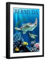 Bermuda - Sea Turtles-Lantern Press-Framed Art Print