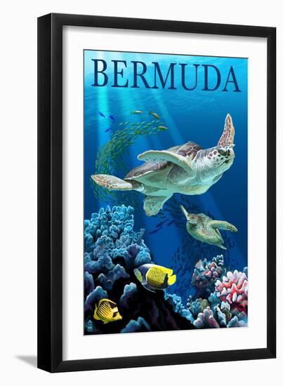 Bermuda - Sea Turtles-Lantern Press-Framed Art Print