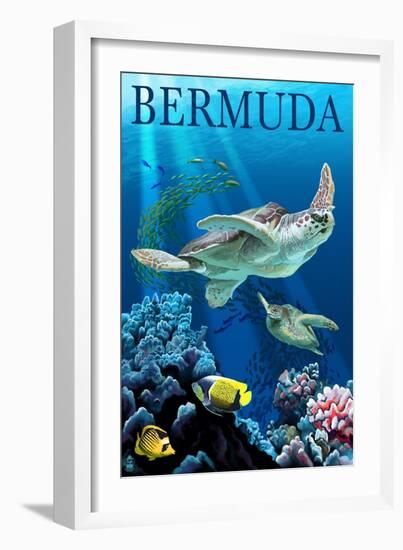 Bermuda - Sea Turtles-Lantern Press-Framed Art Print