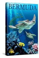 Bermuda - Sea Turtles-Lantern Press-Stretched Canvas