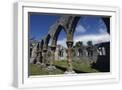 White Frame