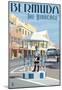Bermuda - The Birdcage-null-Mounted Poster