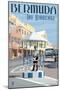 Bermuda - The Birdcage-Lantern Press-Mounted Art Print