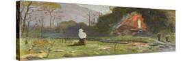 Stretched Canvas