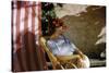 Bernadette Lafont, as a young woman, in Nimes, south of France, c. 1955 (photo)-null-Stretched Canvas