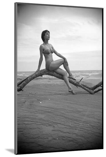 Photo, , large