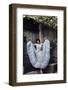 Bernadette Lafont, as young woman, dancer, Nimes, c. 1955 (photo)-null-Framed Photo