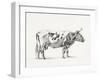 Bernard Cow Sketch III-Jean Bernard-Framed Art Print