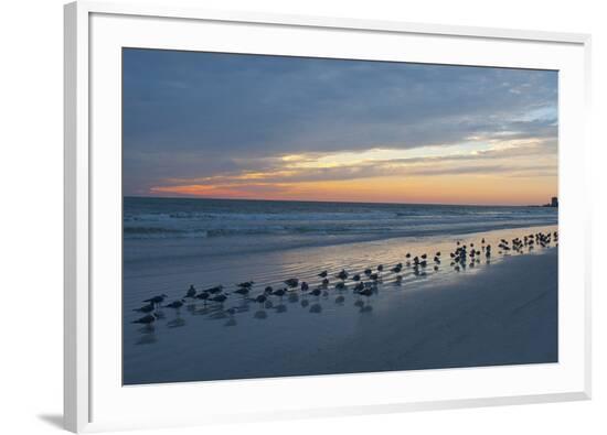 Framed Photographic Print, , large