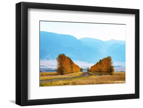 Photographic Print, , large