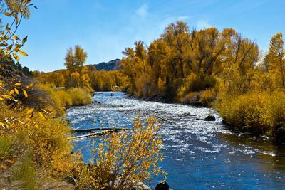 USA, New Mexico, Fall along Rio Chama River.