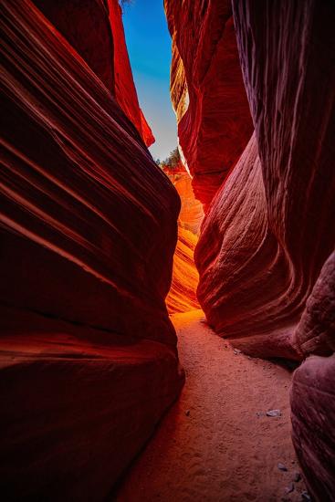 Premium Photographic Print, , large