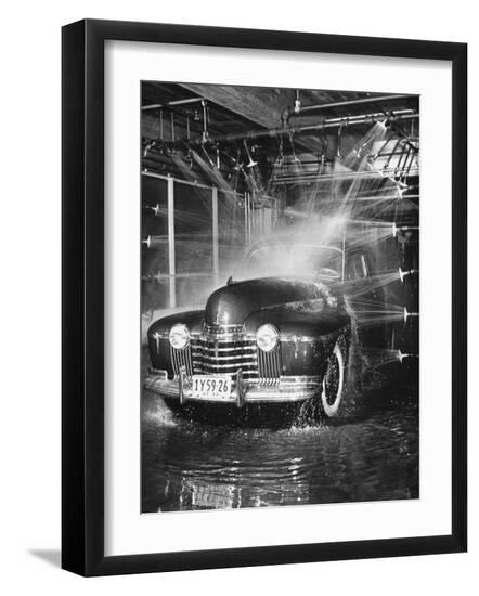 Premium Photographic Print, , large