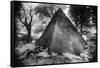 Bernard Mausoleum, Kinnitty, County Offaly, Ireland-Simon Marsden-Framed Stretched Canvas